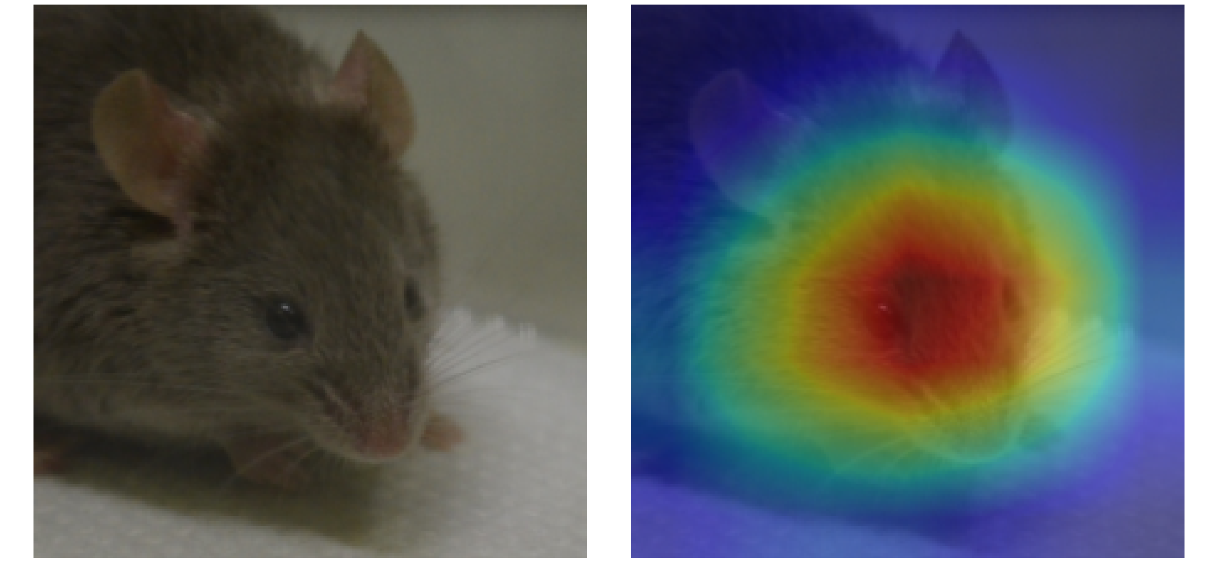 Full-face false negative: Grad-CAM heatmap showing diffuse attention