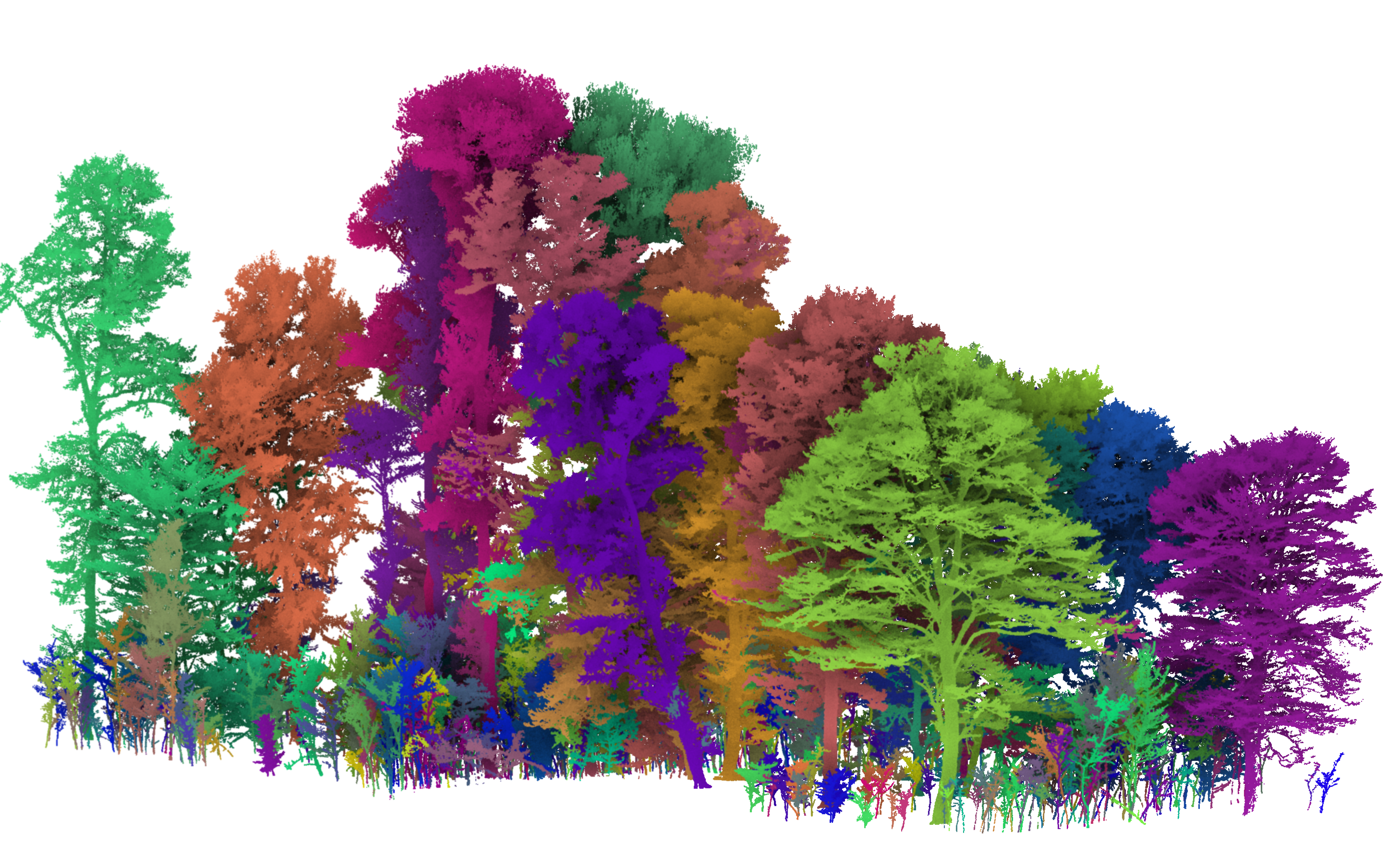 The RMIT dataset from the FOR-instance benchmark dataset