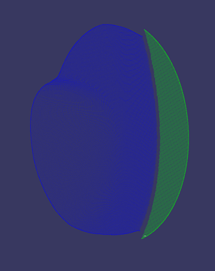 Alpha Shape result
