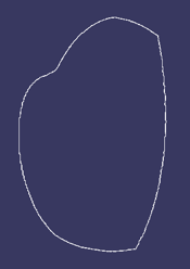 Alpha Shape step 2a